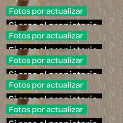 restaurantes en Banyalbufar