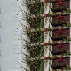 restaurantes en Benamahoma