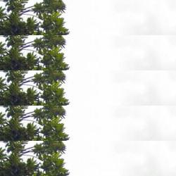 restaurantes en Boqueixón