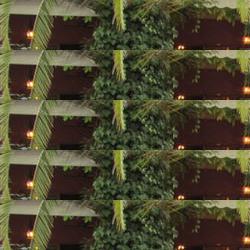 restaurantes en Cala Llenya