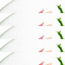 restaurantes en Cariñena