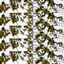 restaurantes en Castellvi De Rosanes