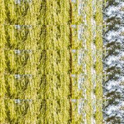 restaurantes en Cavia