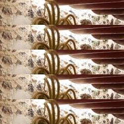 restaurantes en El Cotillo
