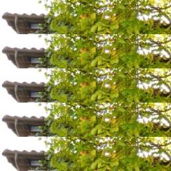 restaurantes en Espinosa De Los Monteros