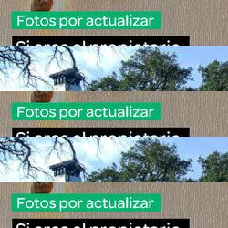 restaurantes en Grazalema