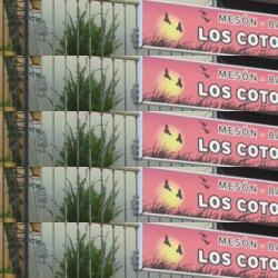 restaurantes en Las Pajanosas