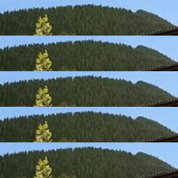 restaurantes en Llodio