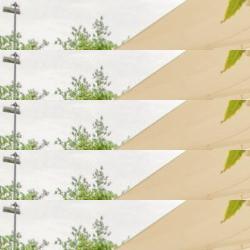 restaurantes en Mata