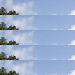 restaurantes en Molinar