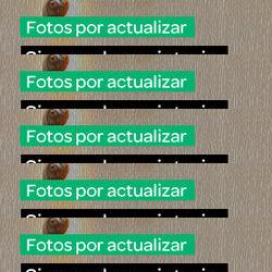 restaurantes en Quintueles