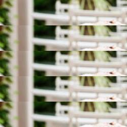 restaurantes en Sabiote