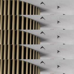 restaurantes en Sant Jordi De Ses Salines