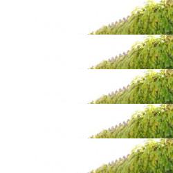 restaurantes en Sant Marti Sarroca