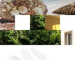 restaurantes en Sanxenxo