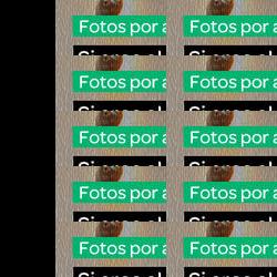 restaurantes en Velez-Blanco