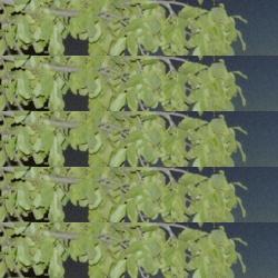 restaurantes en Viznar