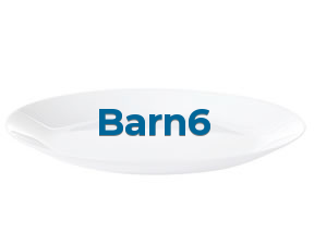 Barn6 en Valencia