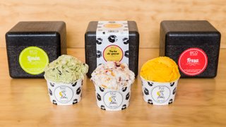 Bico de Xeado en Malaga