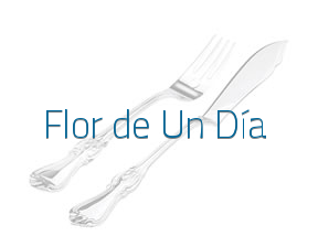 Flor de Un Día en Barcelona