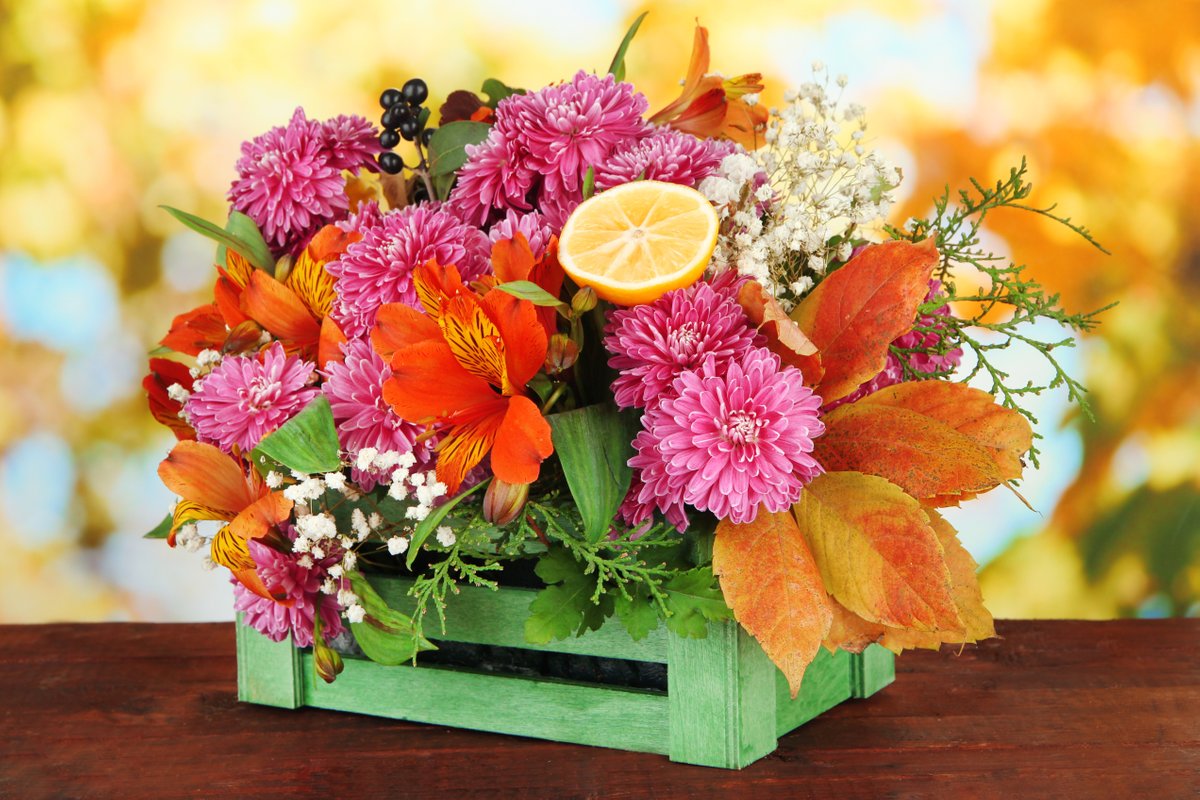 Flores Olivieri en Madrid