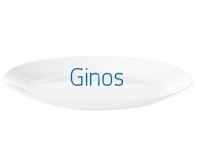 Ginos en Zaragoza