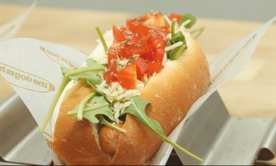 The Dog is Hot en Barcelona