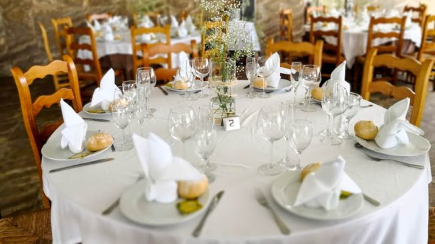 211 OLIVOS PLAYA en Elche