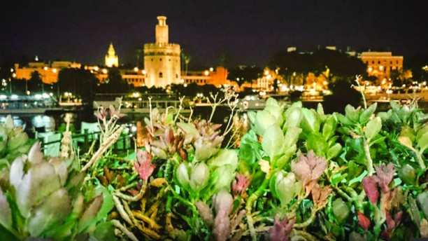 La Primera del Puente en Sevilla