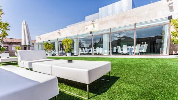 La Terraza del Mercado en Alcalá de Henares