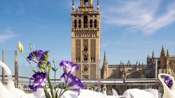 La Terraza - EME Catedral Hotel en Sevilla