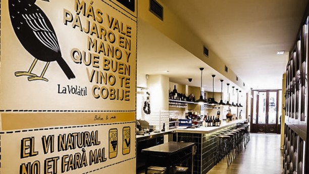 La Volàtil en Barcelona