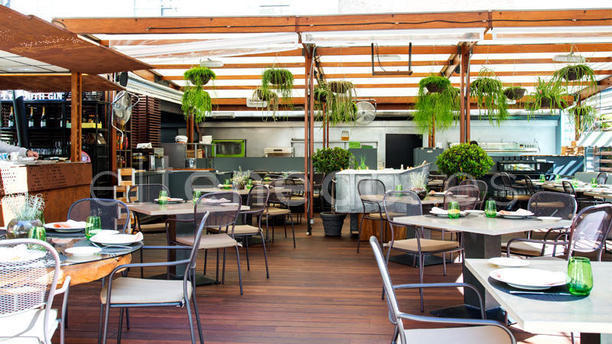 Las Raíces del Wellington - Hotel Wellington en Madrid