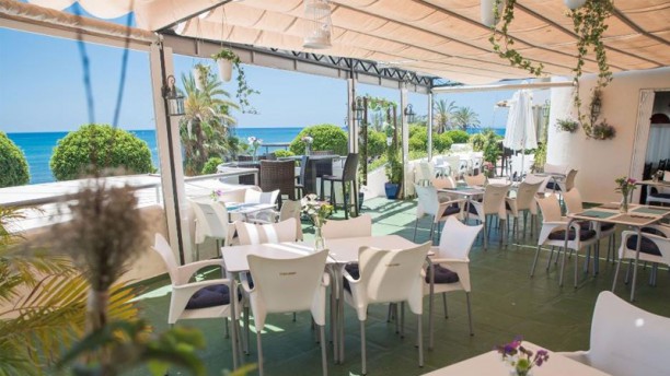 Le CocoRico en Marbella