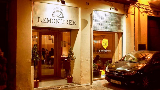 Lemon Tree en Palma de Mallorca