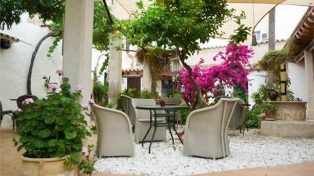 Limón y Chelo en Andratx