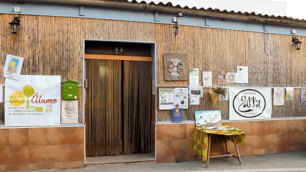 Los Pájaros Ateneo Huertano en Murcia