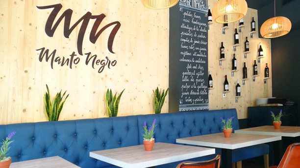 Manto Negro en Palma de Mallorca