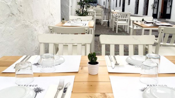 Marengo en Vejer De La Frontera