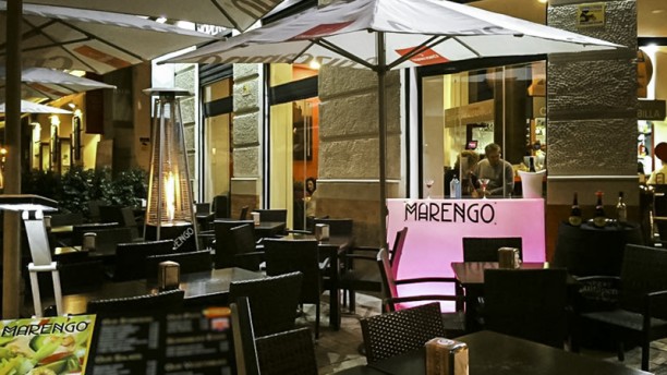 Marengo en Vejer De La Frontera