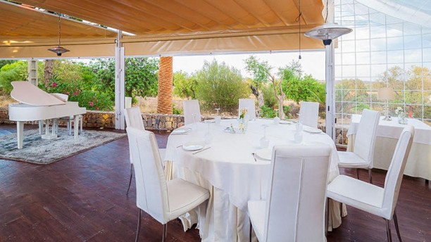 Moli d'en Sopa en Manacor