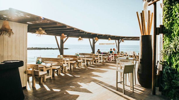 Monkey Beach Club en De Las Americas