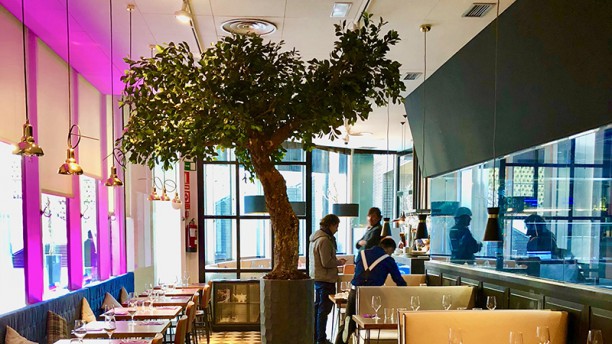 Morao Tapas Paseo de la Castellana en Madrid