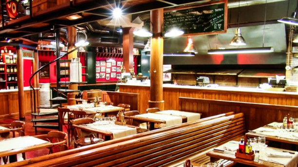 Mussol Aragó en Barcelona