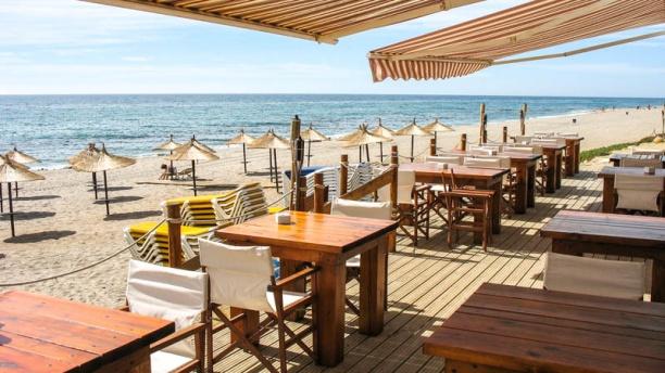 Neptuno Mojácar en Mojacar