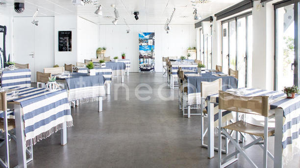 Ocean Race Club en Alicante