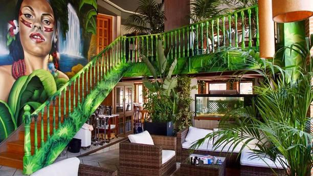 Omawua Ibiza en Eivissa