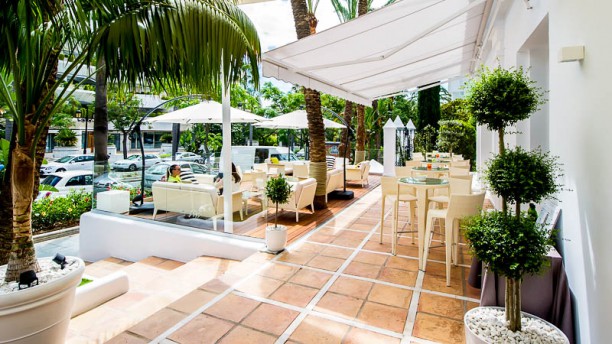 Palmyra - Hotel Monarque Sultán en Marbella