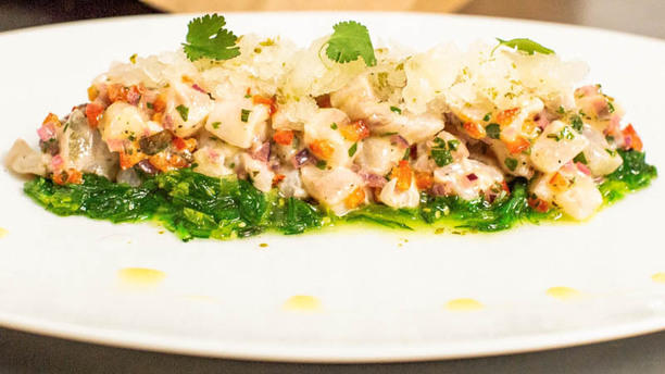 Pasión Mediterránea en Valencia