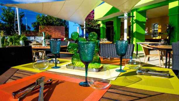 Pau Brasil Ibiza en Santa Eulalia